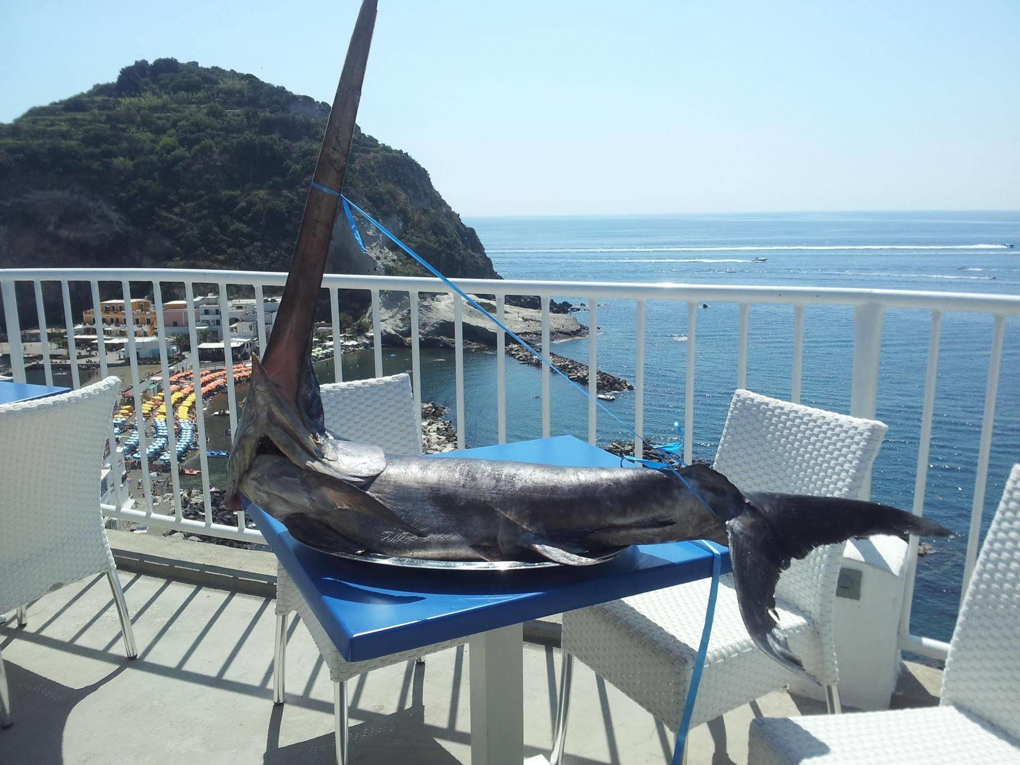 Hotel Villa Sirena Sant'Angelo  Buitenkant foto